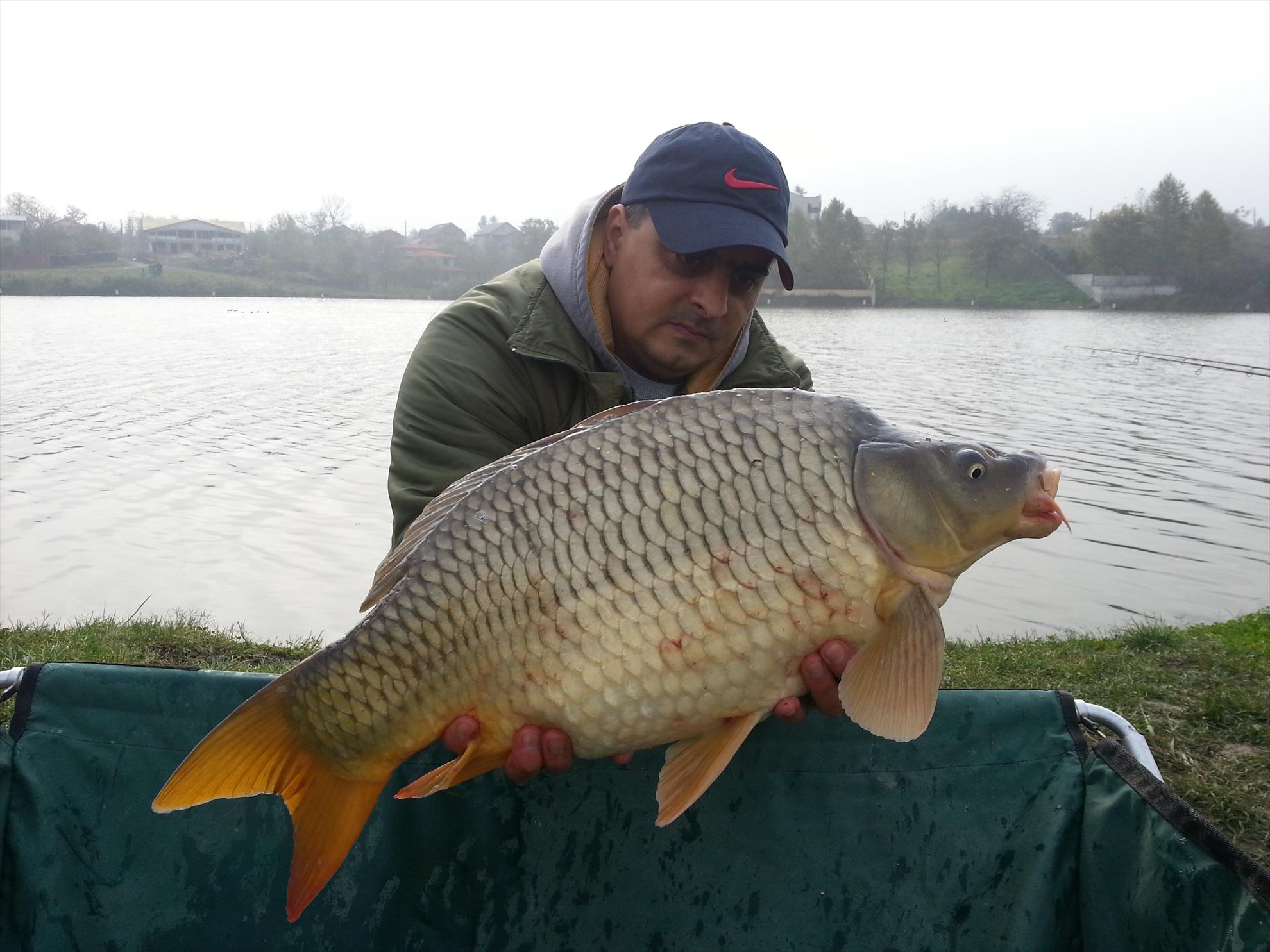 Moara Vlasiei 2 1 noiembrie 2014 - 20141101103655.jpg